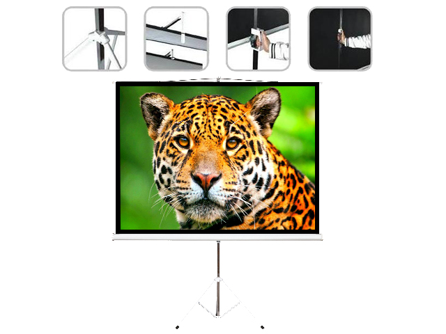 PANTALLA DE PROYECCION INTELAID 86 PANTALLA DE PROYECCION INTELAID 86